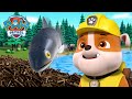 Pups Help the Fish get over the Beaver Dam! - PAW Patrol UK - Cartoons for Kids Compilation