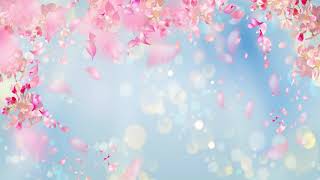 Relaxing Japanese Music - Cherry Blossoms | Soothing, Peaceful, Spa ★171