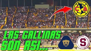 La Rebel "le Canta" al América - Pumas vs Saprissa - Clásico Capitalino