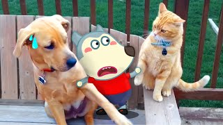 Cats vs Dogs fights | Funniest Cats And Dogs Videos 😁 Best Funny Animal Videos 2023 😅 - Woa Doodland