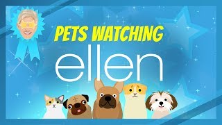 Pets Watching Ellen