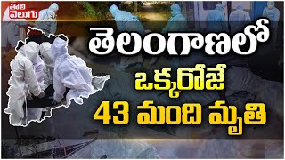 తెలంగాణలో ఒక్క‌రోజే 43 మంది మృతి | 43 Persons Lost Life Due To Corona In Telangana | Tolivelugu TV