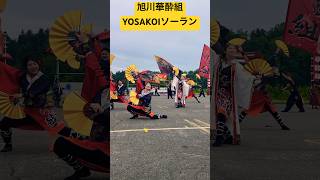 【YOSAKOIソーラン】④「旭川華酔組」による演舞💃 ヨサコイ上川中央支部大会👍 北海道旭川市💫  #shorts  #ninjya #yosakoiソーラン #よさこい #旭川華酔組