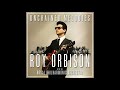 roy orbison the royal philharmonic orchestra blue bayou audio