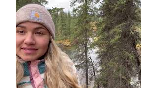 Family cabin moose hunt | A Northern adventure