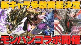 【パズドラ革命】新システム\