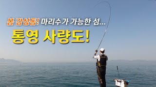 마리수 감성돔을 낚을 수 있는 4월의 섬 “통영 사량도” | 장타 캐스팅 방법