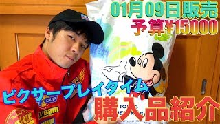 【厳選紹介！】東京ディズニーシー ピクサープレイタイムのグッズの購入品紹介