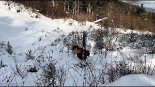 Skiing West Sleeper Slide and the North Sleeper Trees (12/24/24)