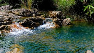 【自然の音 - 流水音】緑の苔に覆われた大きな岩の間を小さな緑の小川が流れています/ 3 Hours Green Forest Sounds