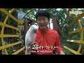 자식같이 키운 앵무새에게 새춘기가 찾아왔습니다..ㅣwhen a parrot hits puberty