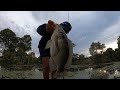 How to catch tilapia | F.L.A.P-fishing like a pro