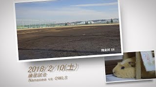 ［草野球実況 2018/2/10］Nanasea vs OWLS