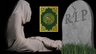 The Miracles And Surprising Things In Quran