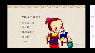 杨氏之子   部编版小学语文五年级（ 下册）一起学中文 learning Chinese