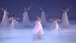 The Ballet Les Sylphides - Chopiniana (delovno gradivo)