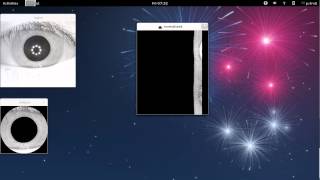 Iris Recognition with Python and OpenCV