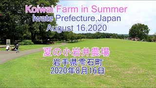 「夏の小岩井農場」　岩手県雫石町 2020年 [4K]