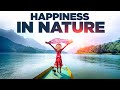 Happiness in Nature 🌳 Positive Correlation Between being in Nature and Increased Levels of Happiness