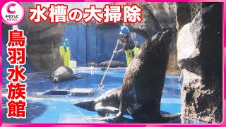 【水槽大掃除】  鳥羽水族館 「海獣の王国」  年末の恒例行事　三重