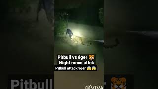 leopard vs pitbull fight 😱😱😱😱😱#viral #shorts #short #new leopard vs pitbull fight 😱 kti jhar