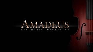 Amadeus Symphonic Orchestra Overview