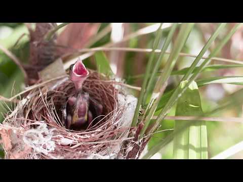 Why are mothers so special?