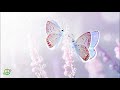 432 Hz Positive Energy - Miracle Healing Frequency, Calm & Positive Mind Meditation Music