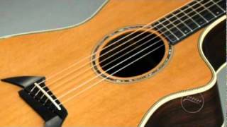 Breedlove Pro Series Sound Clips - The Perfect Guitar