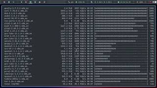 Archlinux pacman 6 parallel downloads