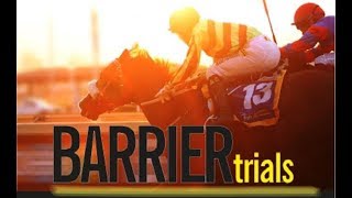 20190210 Scottsville Barrier Trial 10 won by NINOTTO