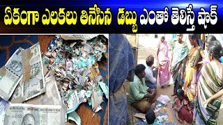 ఏకంగా ఎలకలు తినేసి డబ్బు ఎంతో తెలిస్తే షాక్ | Nellore District | ABN Telugu