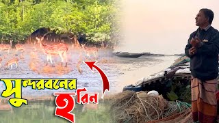 আধুনিকতা থেকে বিচ্ছিন্ন দুবলার চরের জীবন | দুবলার চর | Eposid 01 । Adventure BD