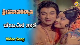 Cheluvina Thaare Video Song | Sri Srinivasa Kalyana Movie Songs | Rajkumar | B. Saroja Devi | TVNXT