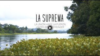 LA SUPREMA (Película) - Crowdfunding