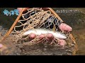 【釣り百景】 440 美しい自然の中で渓魚と出会う！ 岐阜県長良川水系のルアーフィッシング