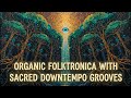 XYLEM PROTOCOLS [Full Album] | Organic Folktronica, Tribal Downtempo & Shamanic Ambient