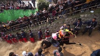 上げ馬神事　総集編　あげうま