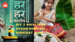 DIY 2 Shivlings| Savan Somwari Vidhivat Puja💐