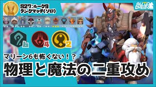 マリ6も怖くない?攻撃と魔法の二重攻め!!「ホーン4メイジ6ディバイン2」【AutoChess/オートチェス】