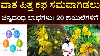 ವಾತ ಪಿತ್ತ ಕಫ | ತಂಗಡಿ ಹೂ | Tangadi Flower Uses in Kannada | Yoga Guru Channabasavanna | tangadi hoovu