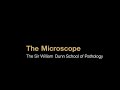 The microscope