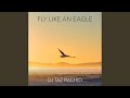 Fly Like an Eagle