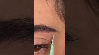 Do you prefer point or slant tip tweezers? Using ArteStile Point Tip Tweezers #eyebrows #satisfying