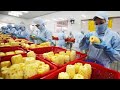 Cara Membuat Buah Kering - Durian, Strawberry, Pemrosesan Chip Nanas di Pabrik - Camilan Buah