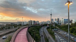 Friday evening Auckland 🇳🇿