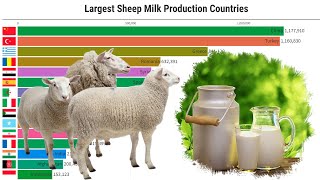 Data Is Beautiful - Largest Sheep Milk Production Countries (1961 - 2025)