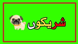 Urdu Shayari Status | Urdu Attitude Shayari Status | Green Screen Status | Green Screen Urdu Shayari