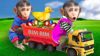 Bim Bim is driving the truck and the Beko car repair road  help colorful ducks