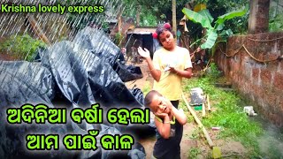 ଅଦିନିଆ ବର୍ଷା ହେଲା ଆମ ପାଇଁ କାଳ || କଣ'ପାଇଁ ଏଇ ବର୍ଷାରେ ଆଜି ଦିନ କାଟିବାକୁ ପଡ଼ିଲା😭😭 || odiavlog